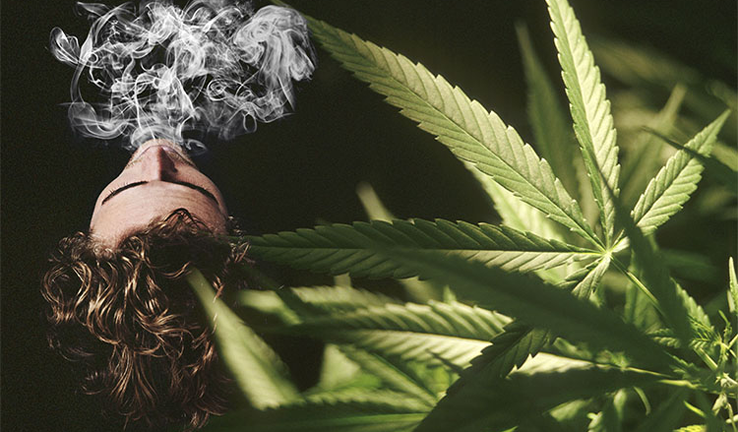 تصویر اصلی مقاله ی " اعتیاد به گل؛ لذت کوتاه، تخریب بلند مدت ذهن و احساس "